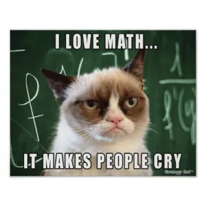Meme: I love math… it makes people cry